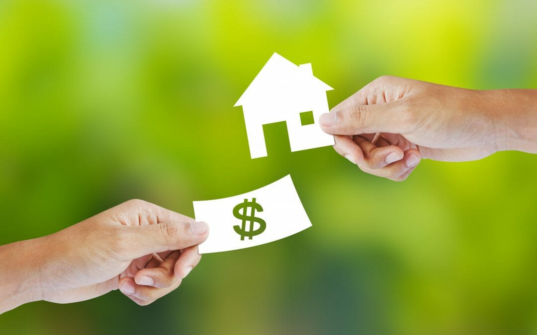 Property & Tax- 5 things