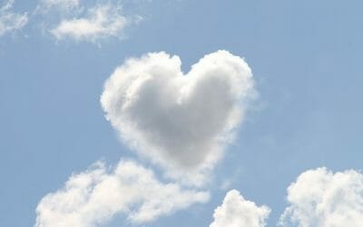 Cloud Online Accounting