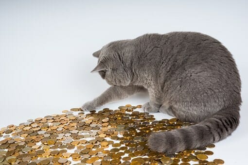 Profit & your break-even