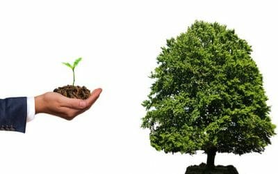 Business Growth- How’s Yours?