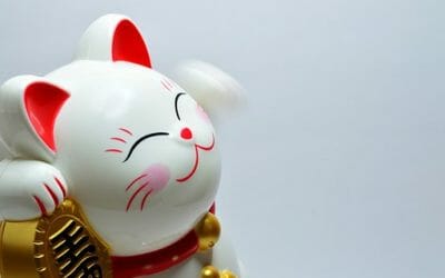 Choosing The Right Credit Controller