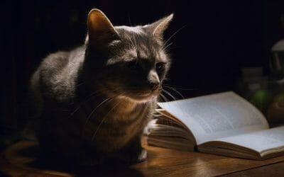 Record Keeping