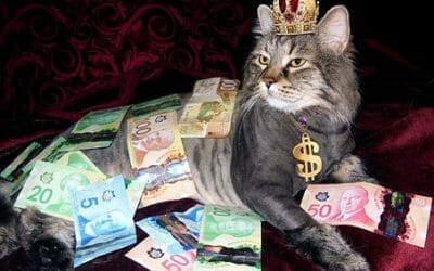 Get paid on time