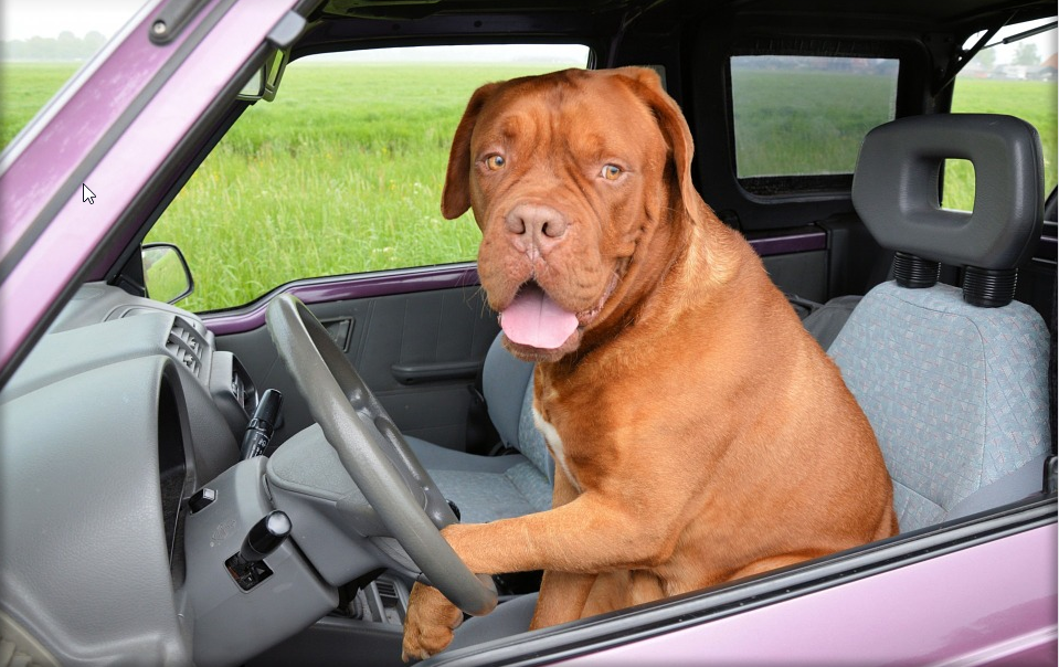 Understanding ccompany cars and tax