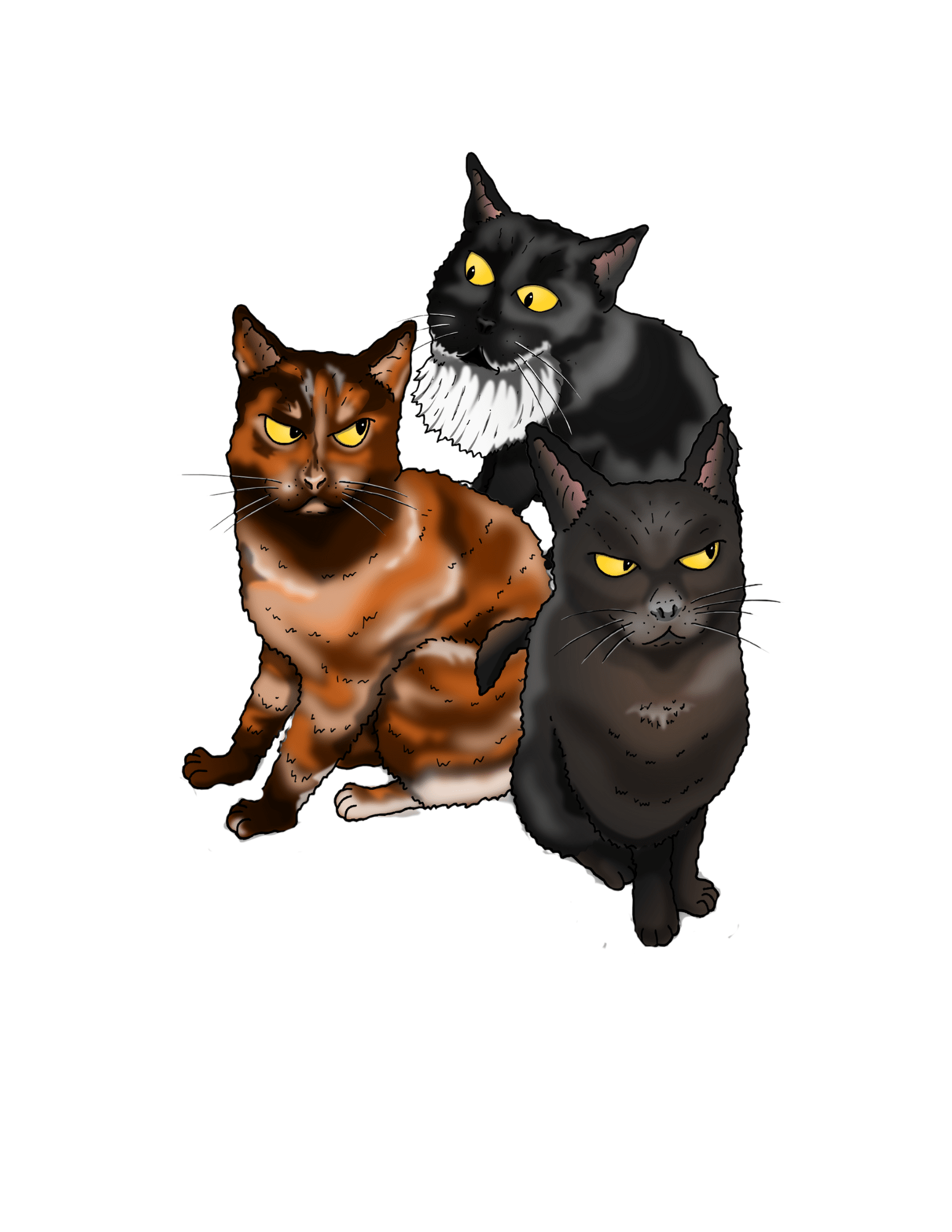 Scampi Sheba & Sherpa Scampi Sheba & Sherpa