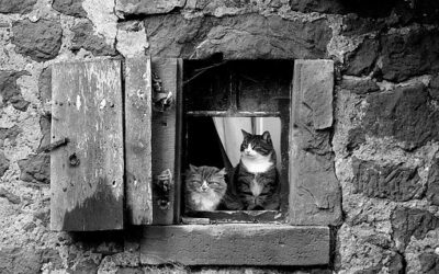 Tax Relief For Pre Let Property Costs